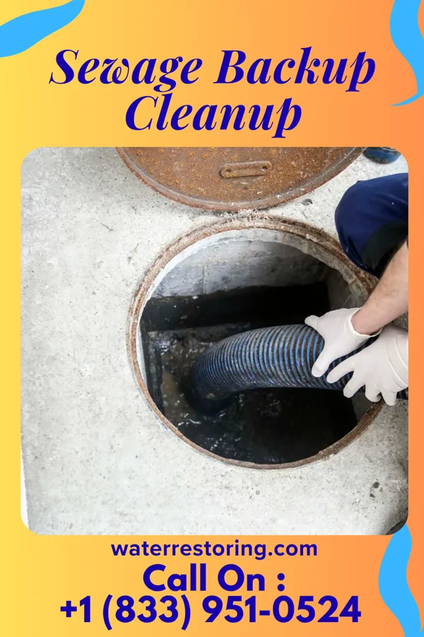 Sewage Backup Cleanup in South Gifford, MO
