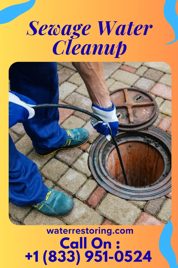 Sewage Water Cleanup in South Gifford, MO